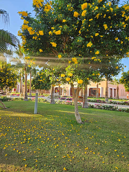 Gartenanlage Gemma Resort