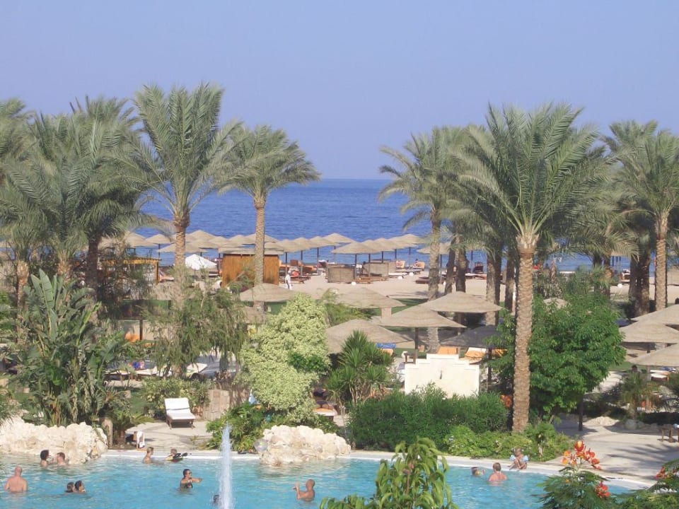 Blick aufs Meer Grand Makadi