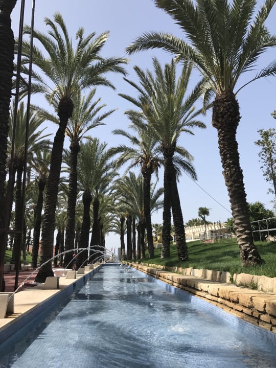 Gartenanlage Monachus Family Resort Sorgun