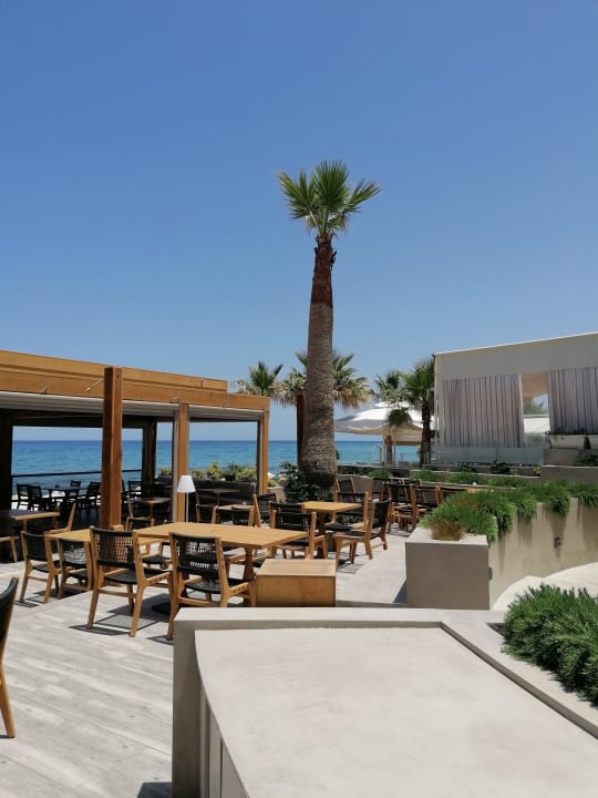 Gastro Cactus Beach