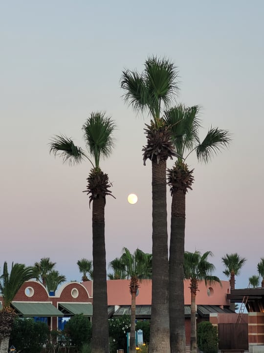 Gartenanlage Megasaray Club Belek