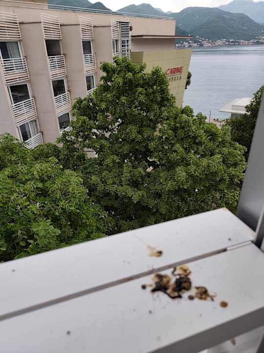 Ausblick Carine Hotel Delfin