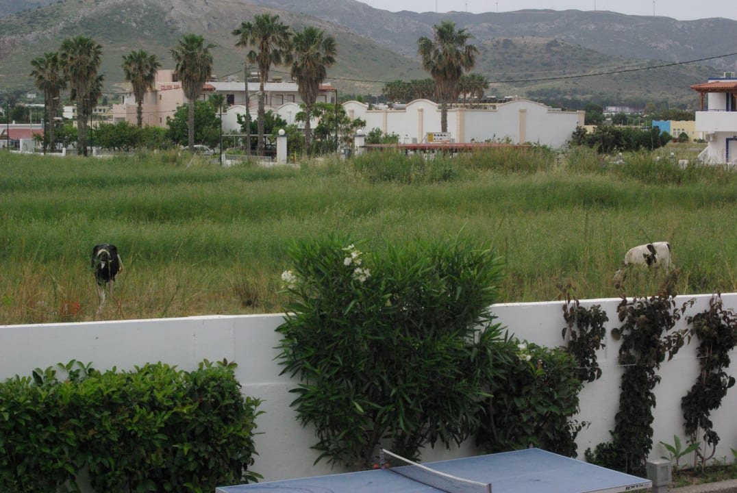 Ausblick Gaia In Style - Adults only