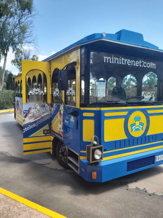 Sonstiges Globales Bouganvilla