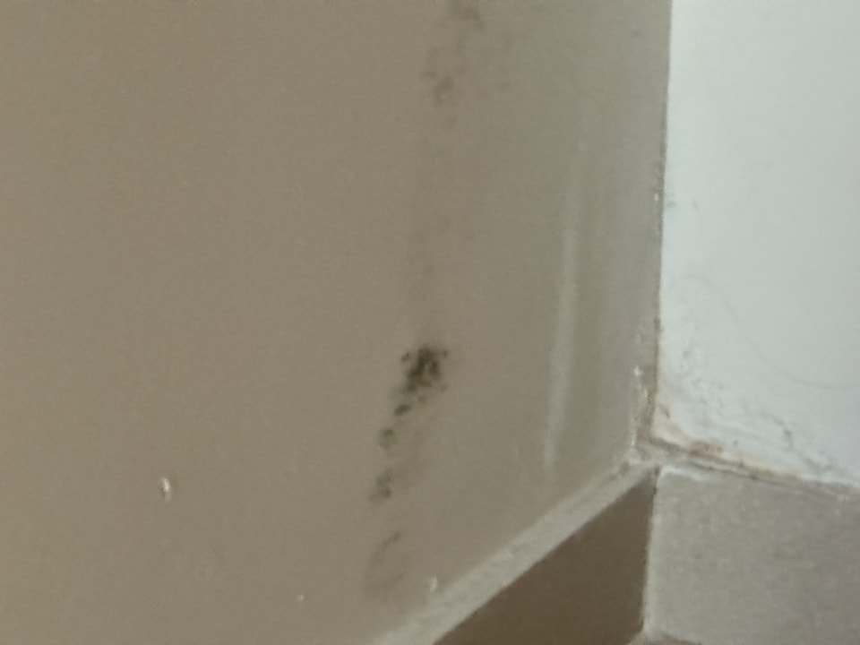 Zimmer Iberostar Selection Albufera Park