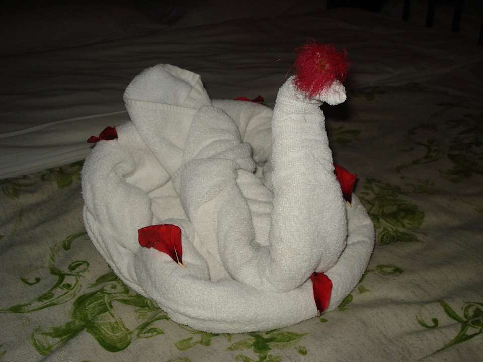 Deko aus Handtüchern Ghazala Gardens