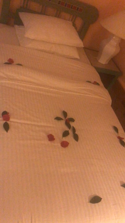 Zimmer Giftun Azur Resort