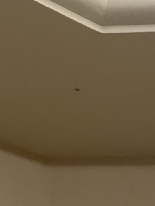 Zimmer Terrass Hôtel