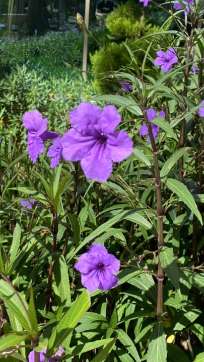 Sonstiges Wome Deluxe Hotel