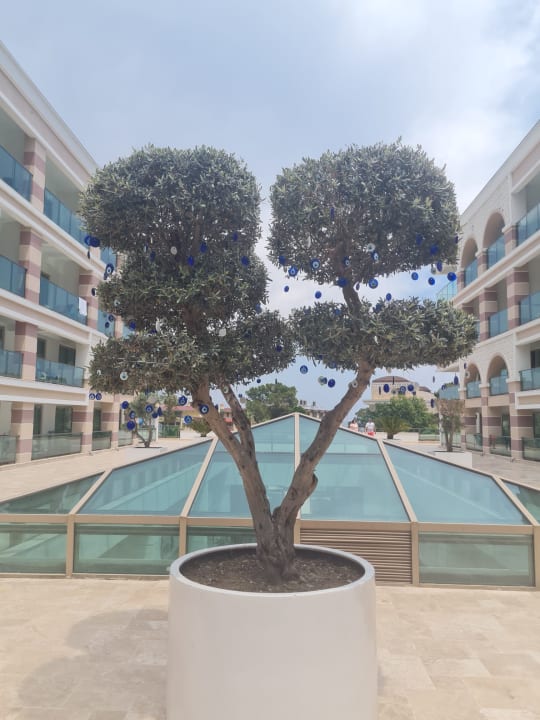 Sonstiges Dosinia Luxury Resort