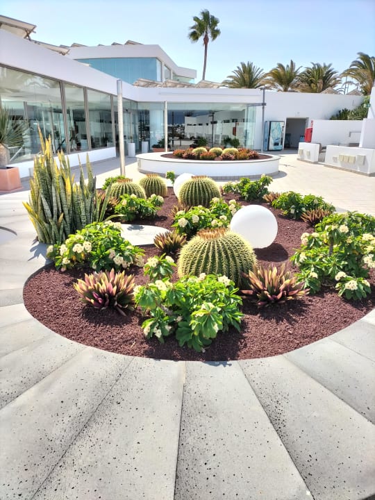 Gartenanlage Hotel Las Costas