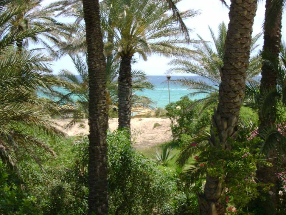 Meerblick El Ksar Resort & Thalasso