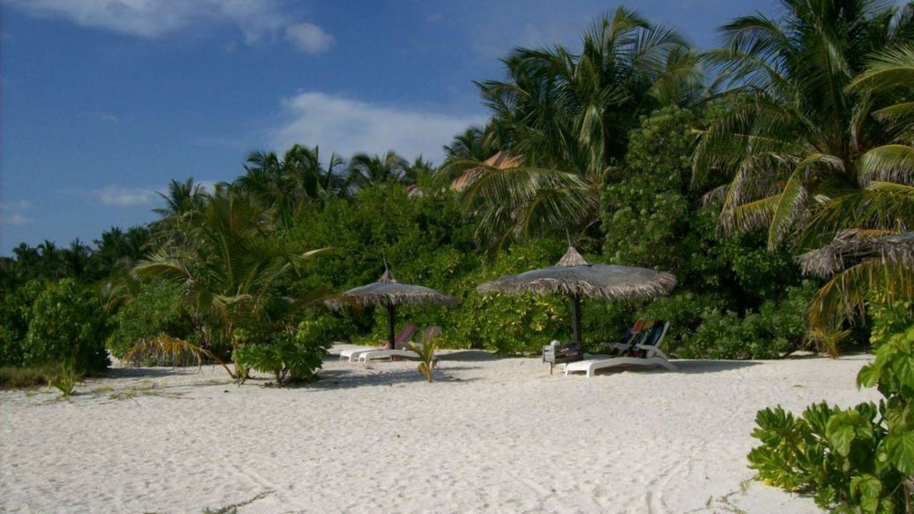 Strand Summer Island Maldives