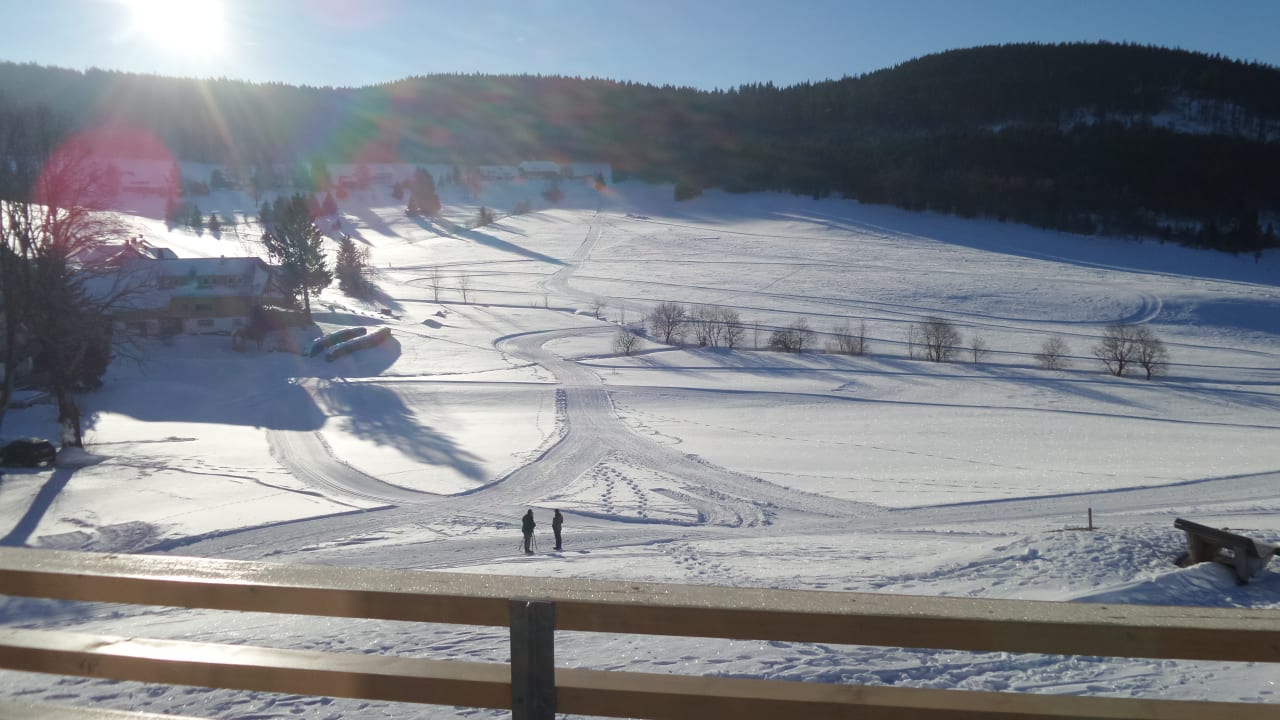 Ausblick am Mittag derWaldfrieden naturparkhotel