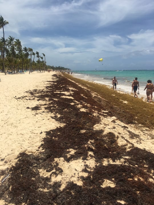 Strand Hotel Riu Palace Macao - Adults only