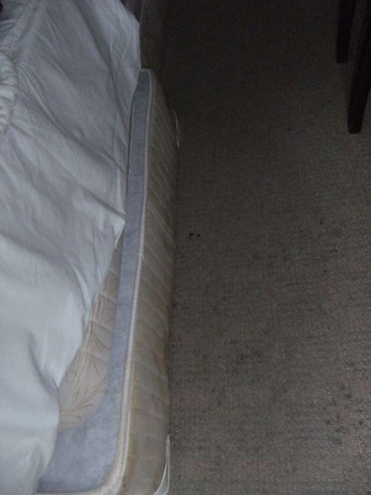 Das Zimmer Hotel Lion Sunny Beach