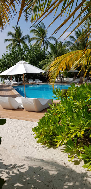 Pool Safari Island Maldives