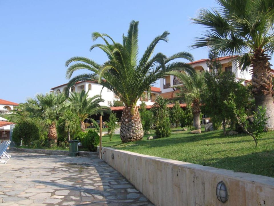 Ogród Akrathos Beach Hotel