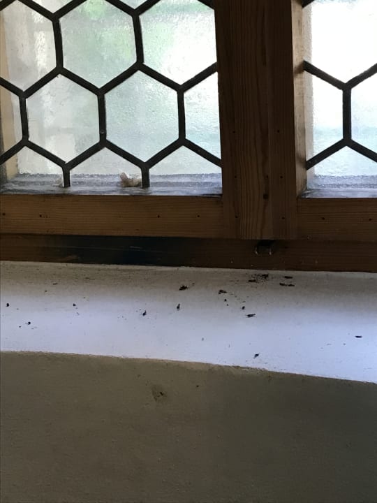 Zimmer Gästezimmer Burgwaldhof