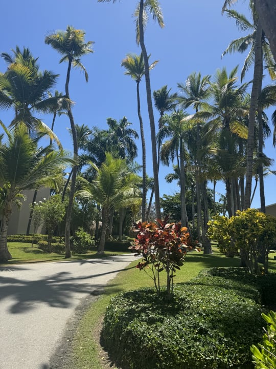 Gartenanlage Grand Palladium Punta Cana Resort & Spa