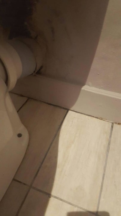 Toilette Friday Attitude