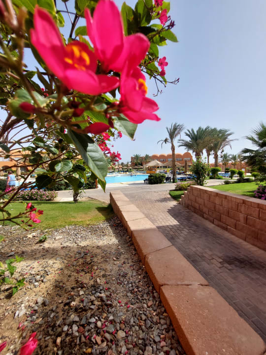 Pool Novotel Marsa Alam Beach Resort