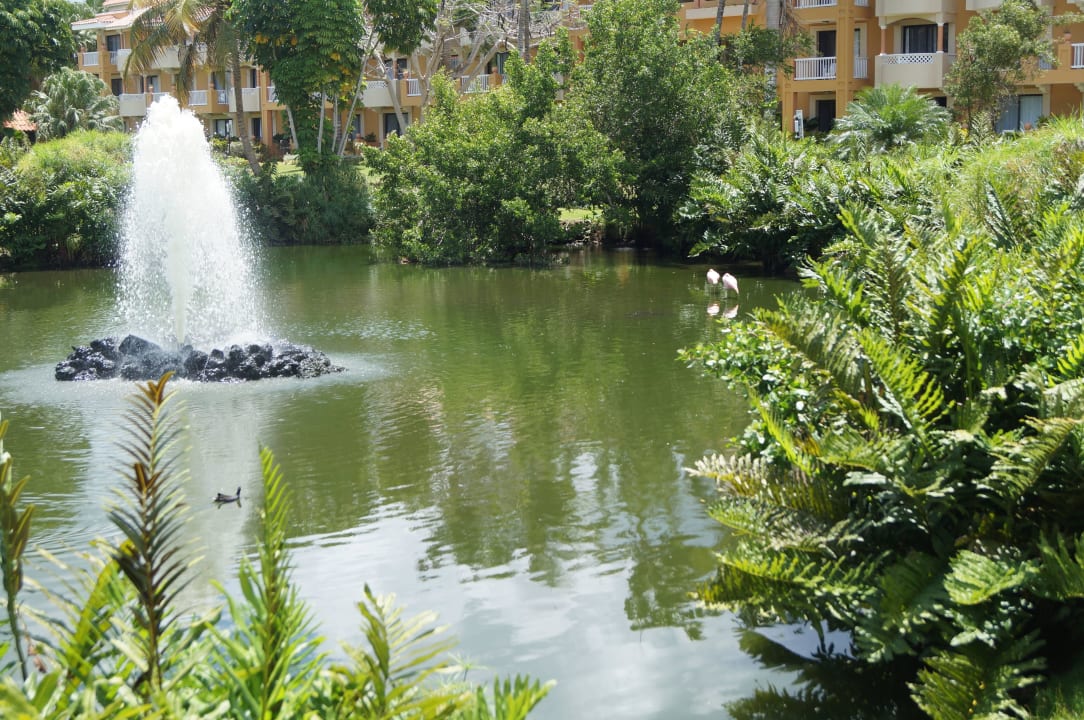 Hotel Viva Wyndham Dominicus Palace Hotel Viva Dominicus Palace by Wyndham-All Inclusive Resort