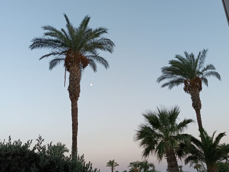 Gartenanlage Lindos Princess Beach Resort & Spa