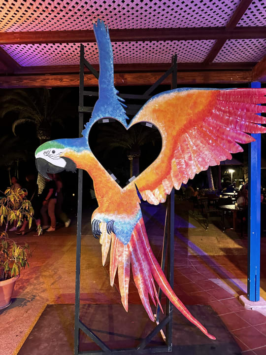 Sport & Freizeit ROBINSON ESQUINZO PLAYA