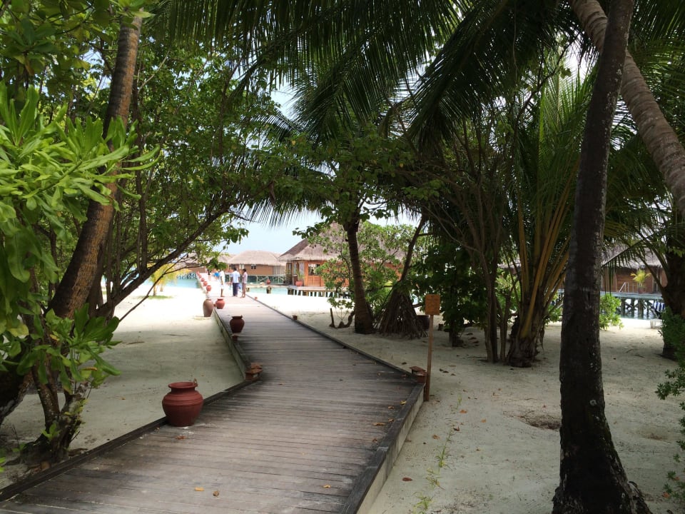 Nordstrand Meeru Maldives Resort Island
