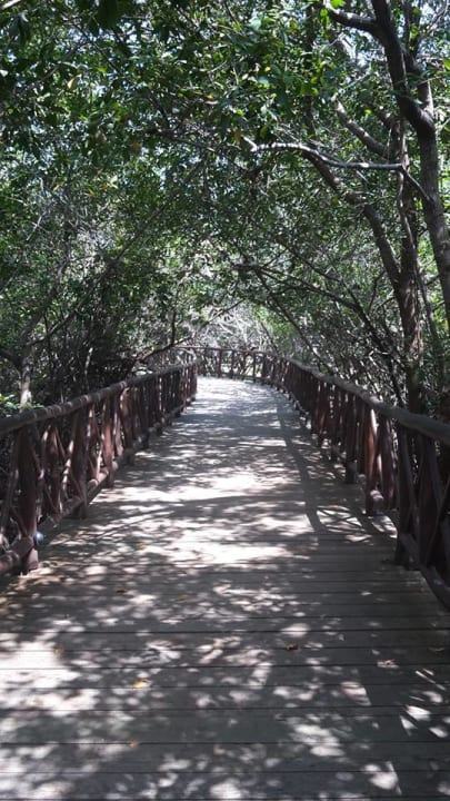 Sonstiges Catalonia Royal Tulum Beach & Spa Resort - Adults only