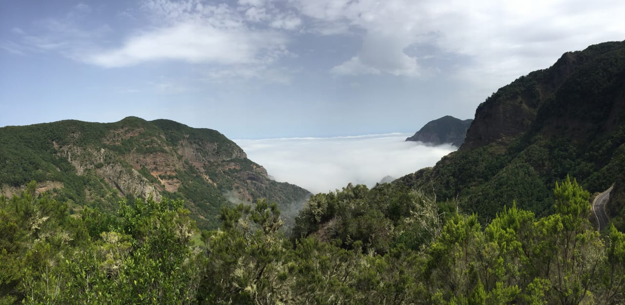 Ausblick Hotel Playa Calera