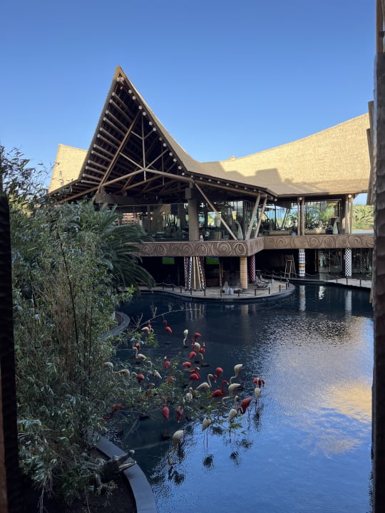Außenansicht Lopesan Baobab Resort