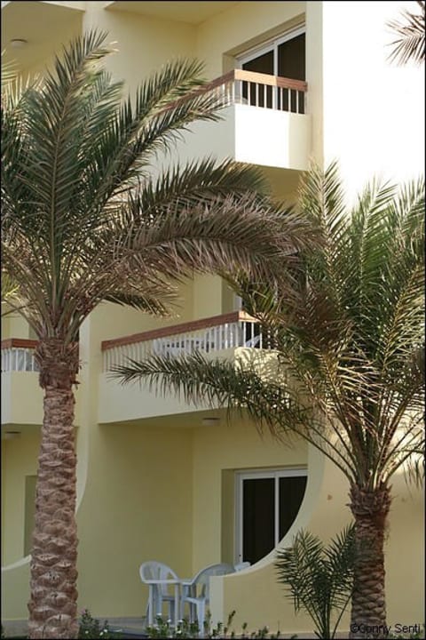 Bungalow Palm Beach Resort