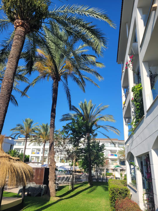 Gartenanlage Prinsotel La Dorada