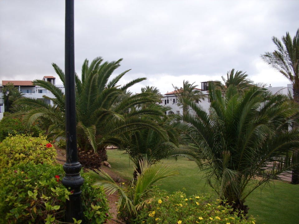 Gartenanlage TUI MAGIC LIFE Fuerteventura