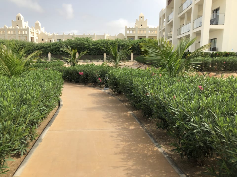 Gartenanlage Hotel Riu Palace Boavista