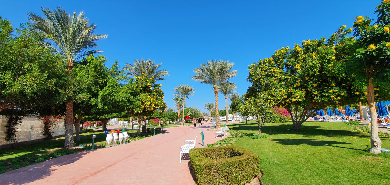 Gartenanlage Desert Rose