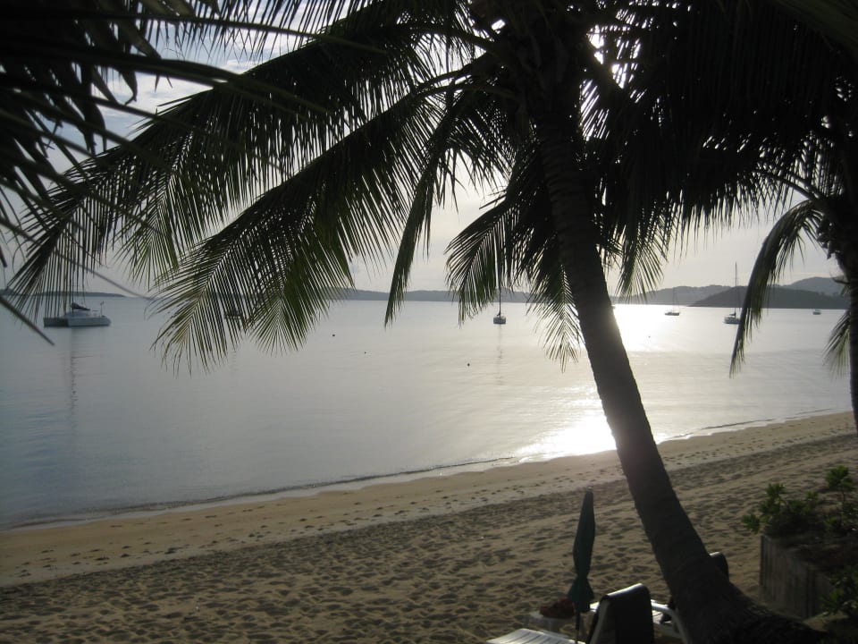 Vom Front-Beach-Bungalow Hotel Samui Palm Beach Resort