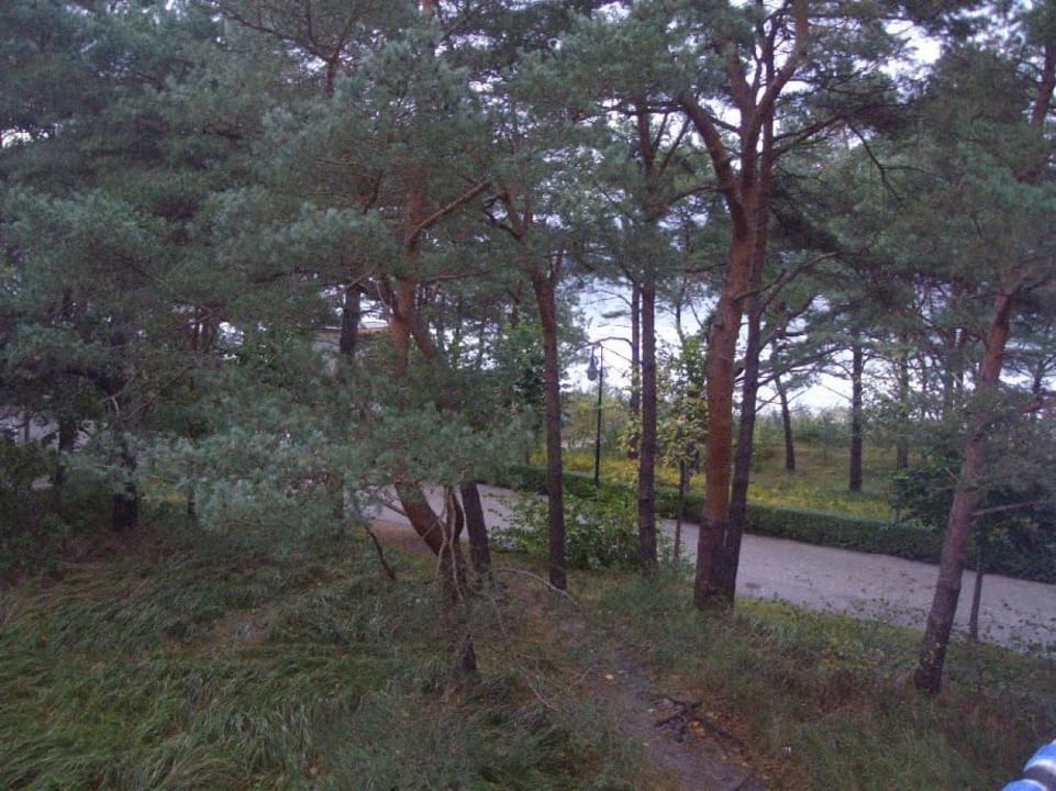 Blick aus dem Zimmer über Promenade zum Stand IFA Rügen Hotel & Ferienpark