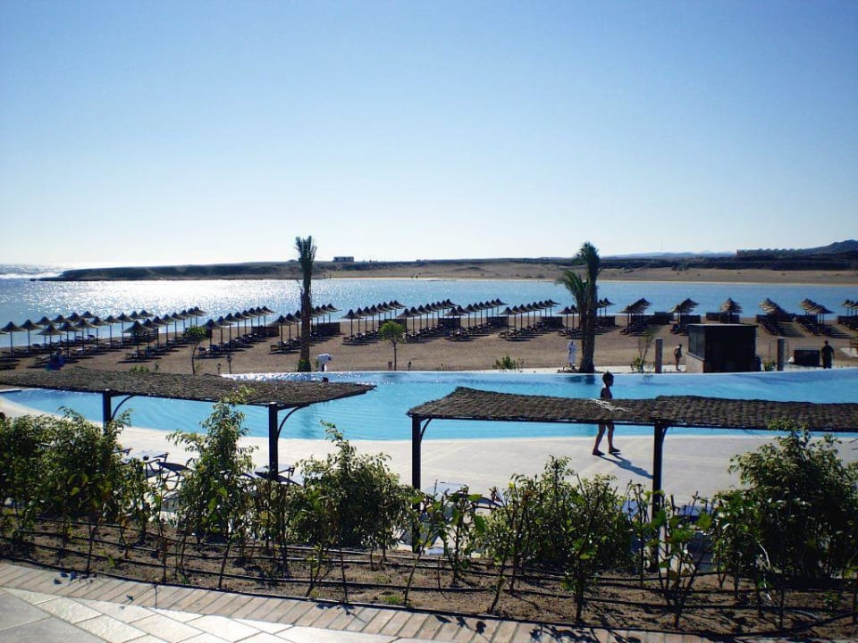 Blick vom Pool auf den Strand und das Meer TUI MAGIC LIFE Kalawy