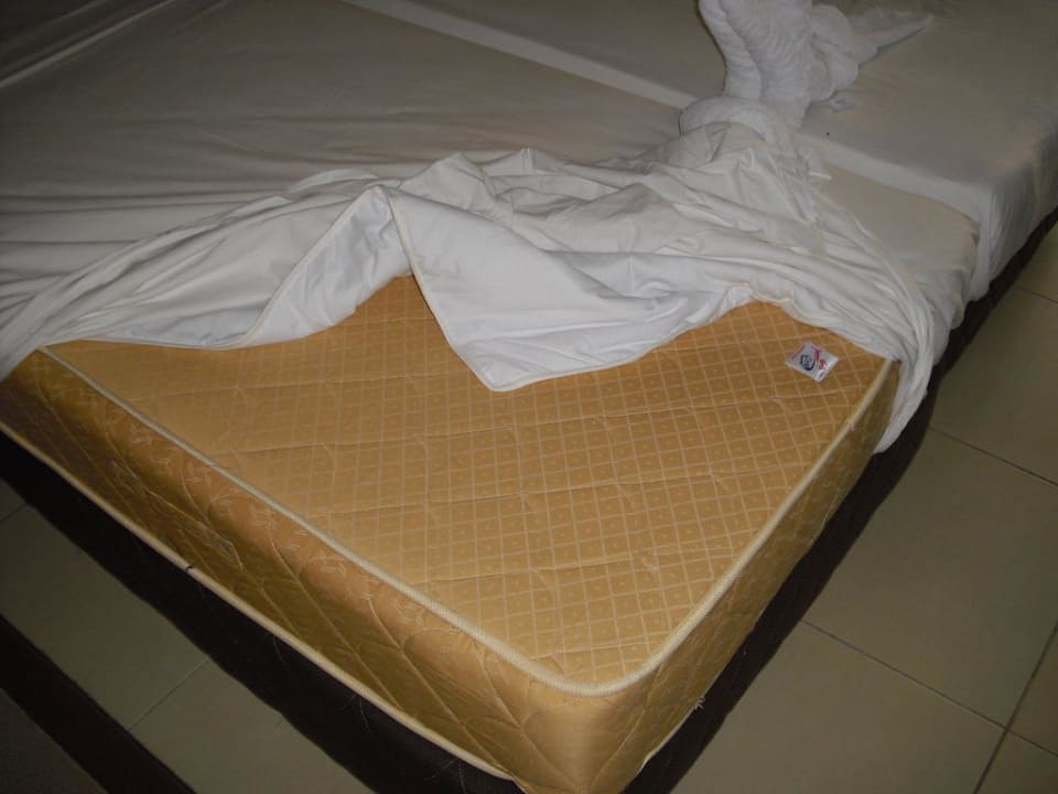 Bett Jaz Dar EL Madina