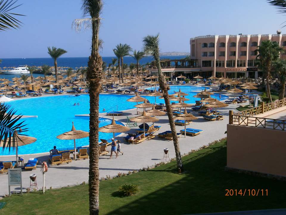 Der Blick vom Balkon Beach Albatros Resort