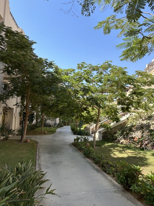 Gartenanlage Jaz Costa Mares (Adults Only)