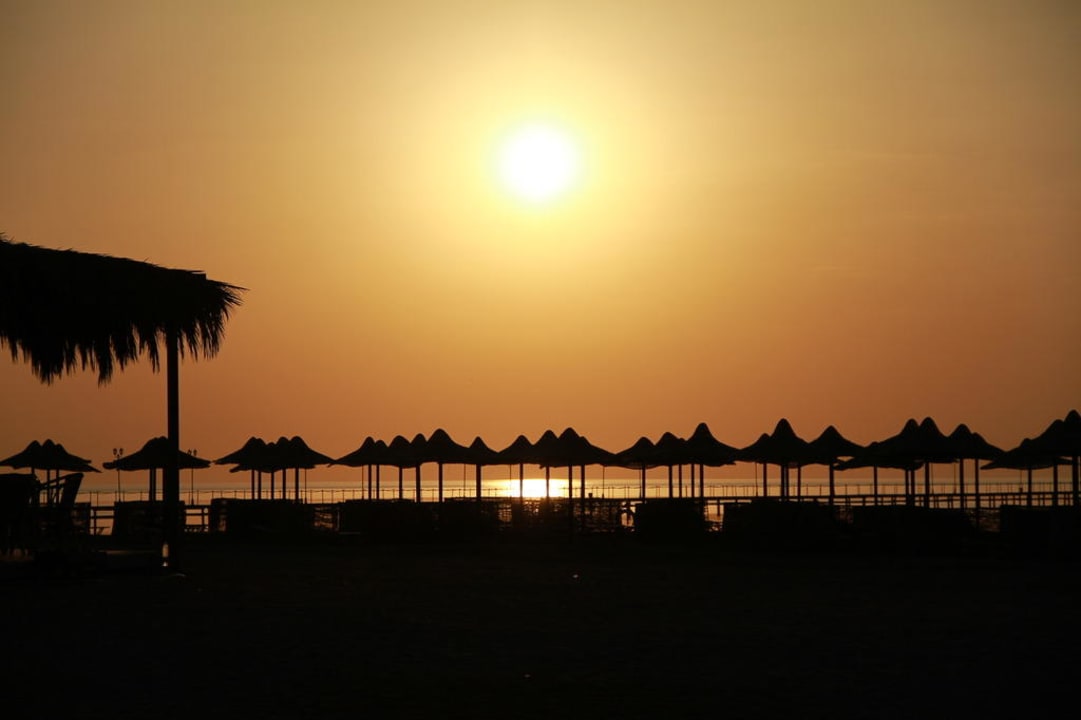 Strand bei der eigenen Bucht TUI MAGIC LIFE Kalawy