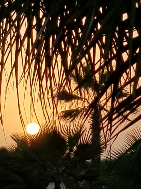 Strand Hotel Riu Touareg