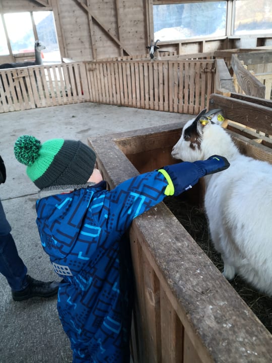 Sport & Freizeit Kinderhotel Felben