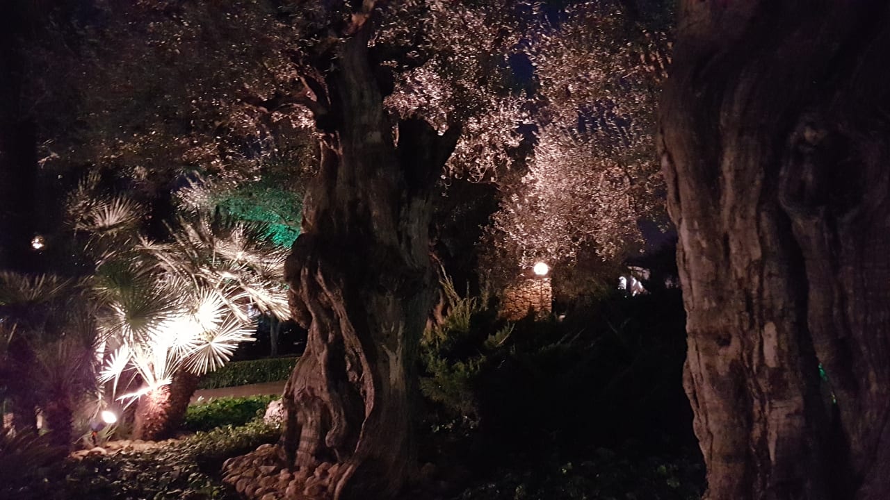 Garten Alcudia Garden Aparthotel