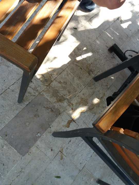 Gastro Club Resort Atlantis