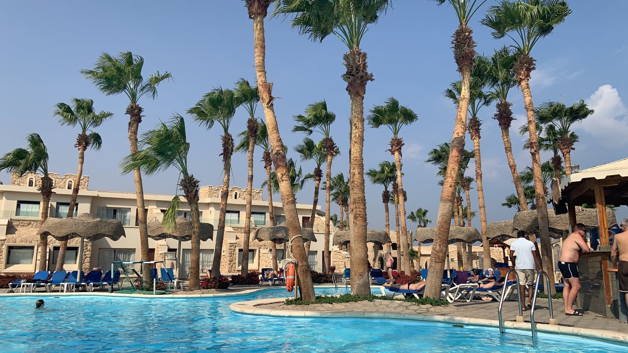 Pool Pickalbatros Citadel Resort